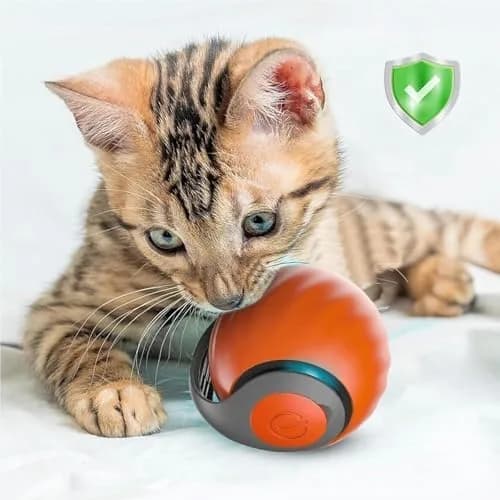 interactive cat toy how to use