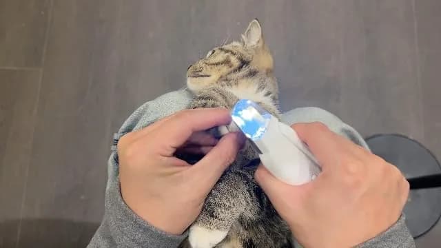 dog nail clipper and grinder package contents