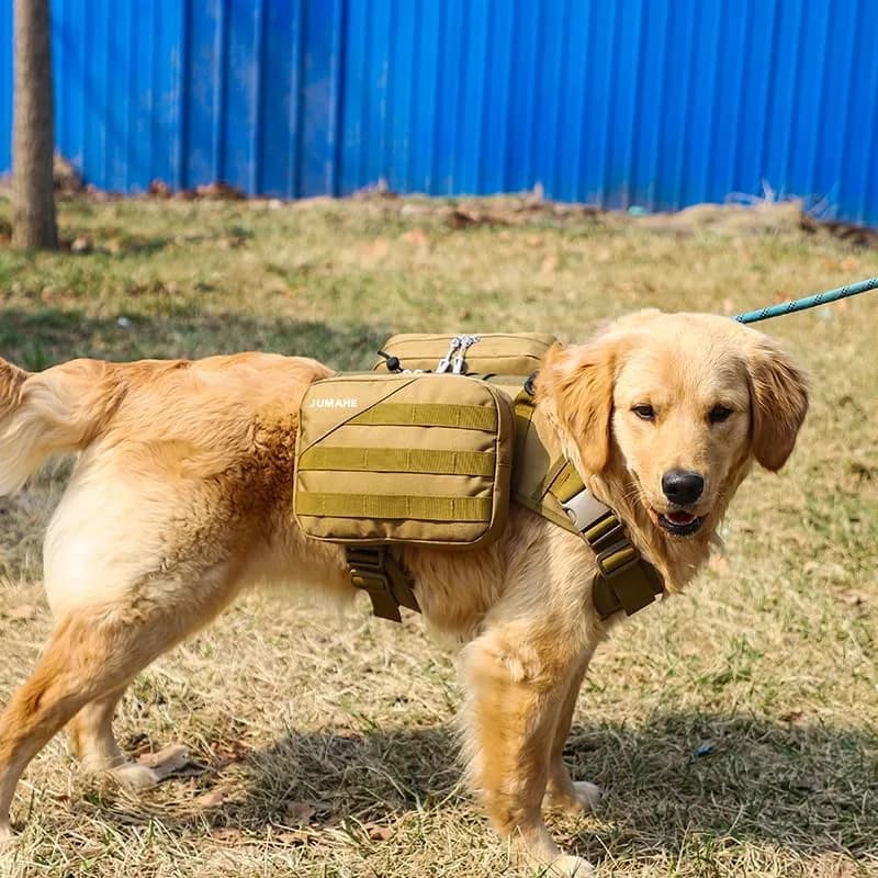 dog hiking backpack on a trail